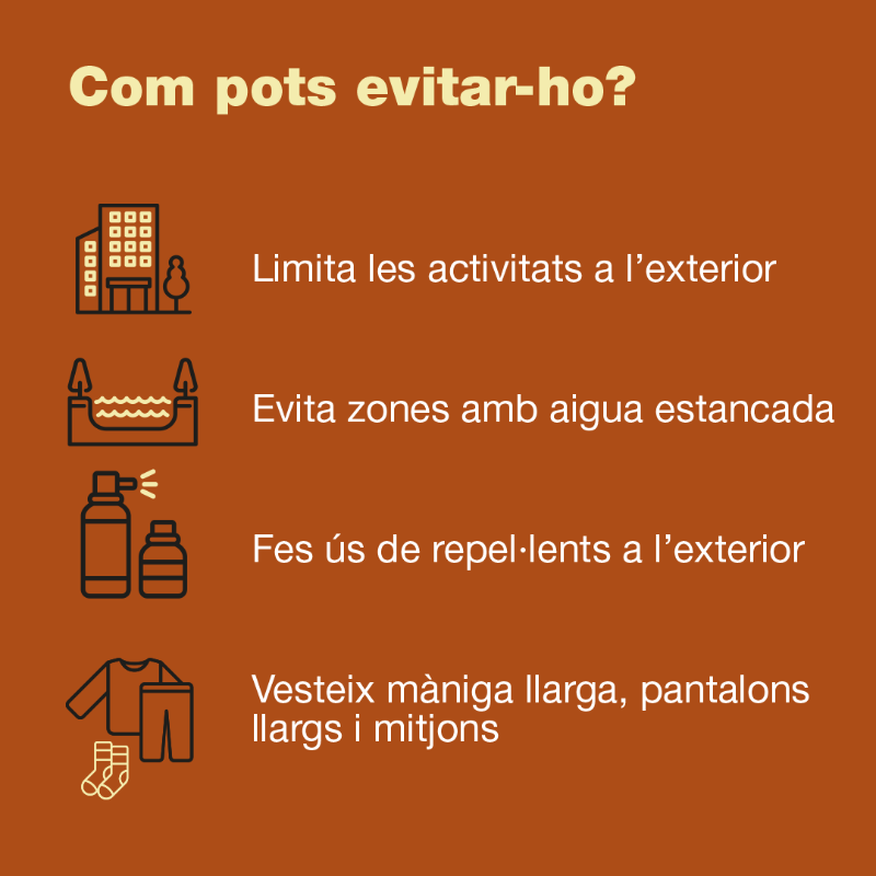 salutcat's tweet photo. 🦟 A Catalunya es donen les condicions necessàries per a l’emergència de les arbovirosis i l’aparició de casos autòctons.

Cal aplicar mesures de prevenció i control destinades a limitar l’extensió de la malaltia.

#WorldMosquitoDay2025