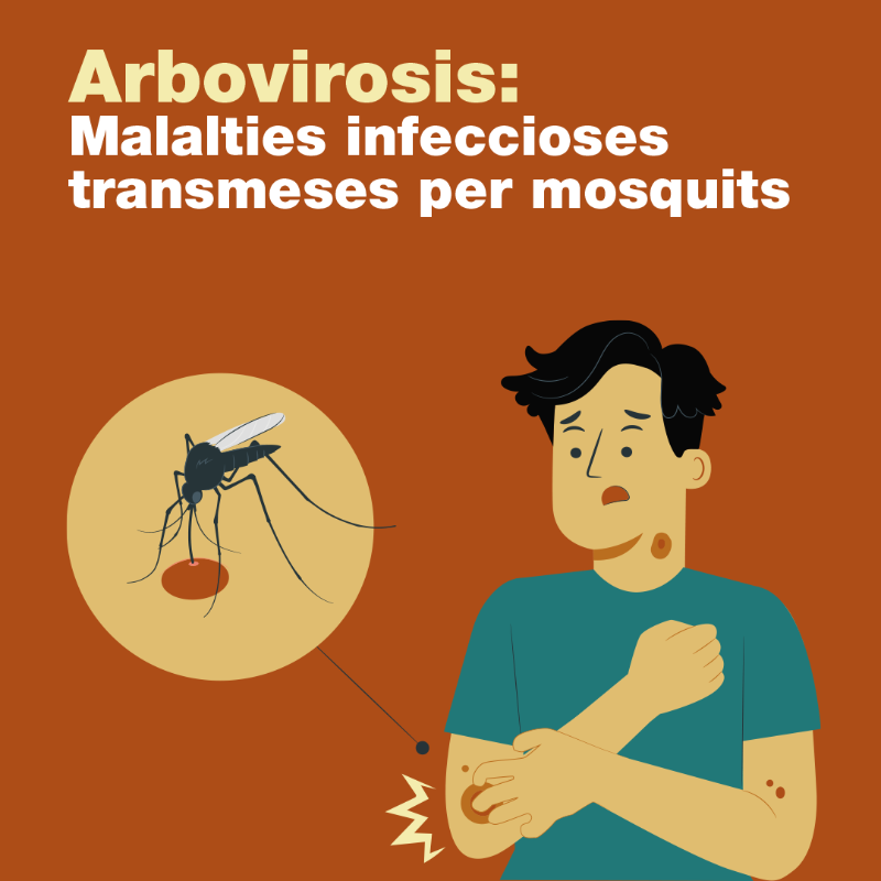 salutcat's tweet photo. 🦟 A Catalunya es donen les condicions necessàries per a l’emergència de les arbovirosis i l’aparició de casos autòctons.

Cal aplicar mesures de prevenció i control destinades a limitar l’extensió de la malaltia.

#WorldMosquitoDay2025