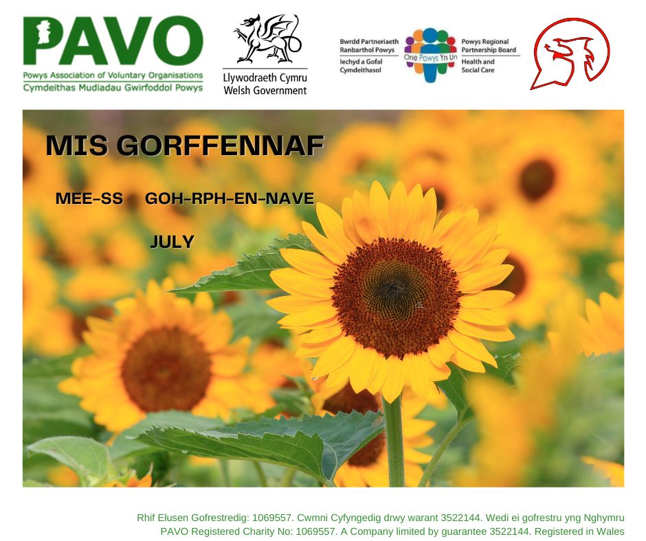 Ymadroddiad yr wythnos hon! 
This week's phrase! 
#theactiveoffer #ycynnigrhagweithiol #dysgucymraeg #bilingualservice #mwynageiriau #morethanjustwords