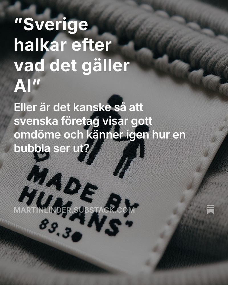 Ett mantra som sprids är att Sverige och svenska företag halkar efter vad det gäller AI. 

Men det är något som skaver med den här beskrivningen. 

IT-bubblan runt millennieskiftet ligger i lä, då låg multiplarna på värderingar till 100 gånger omsättningen.  Nu värderas ett