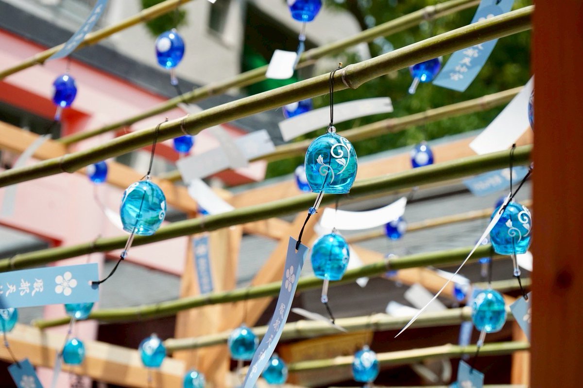 この夏より服部天神宮では、「風鈴まつり」を開催いたします。

境内には、約200個の風鈴がずらりと吊るされ、風が吹くたびに澄んだ音色が心地よく響きわたります。
 風鈴の音は、古来より邪気を祓い、心をととのえる音として親しまれ、夏の暑さの中にもどこか清々しさを感じさせてくれます。