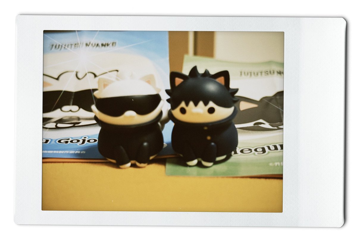 아 하찮아 개귀여워