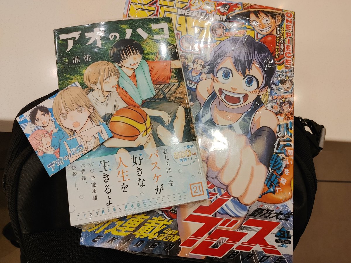 453zon's tweet image. 書店へ新刊買い🟦+ナツコミ💡
あと横浜散策🚩

目的地が8Fで昇り下りがメンドくさく、行こうと思ったら多少気力を要する難所😓

でも6Fに新しいオタクストアができて、↑に無いのがこっちにある場合もあって推し活には良い拠点です😏

#アニメイト
#treevillage
#横浜ビブレ
#ナツコミ2025
#アオのハコ