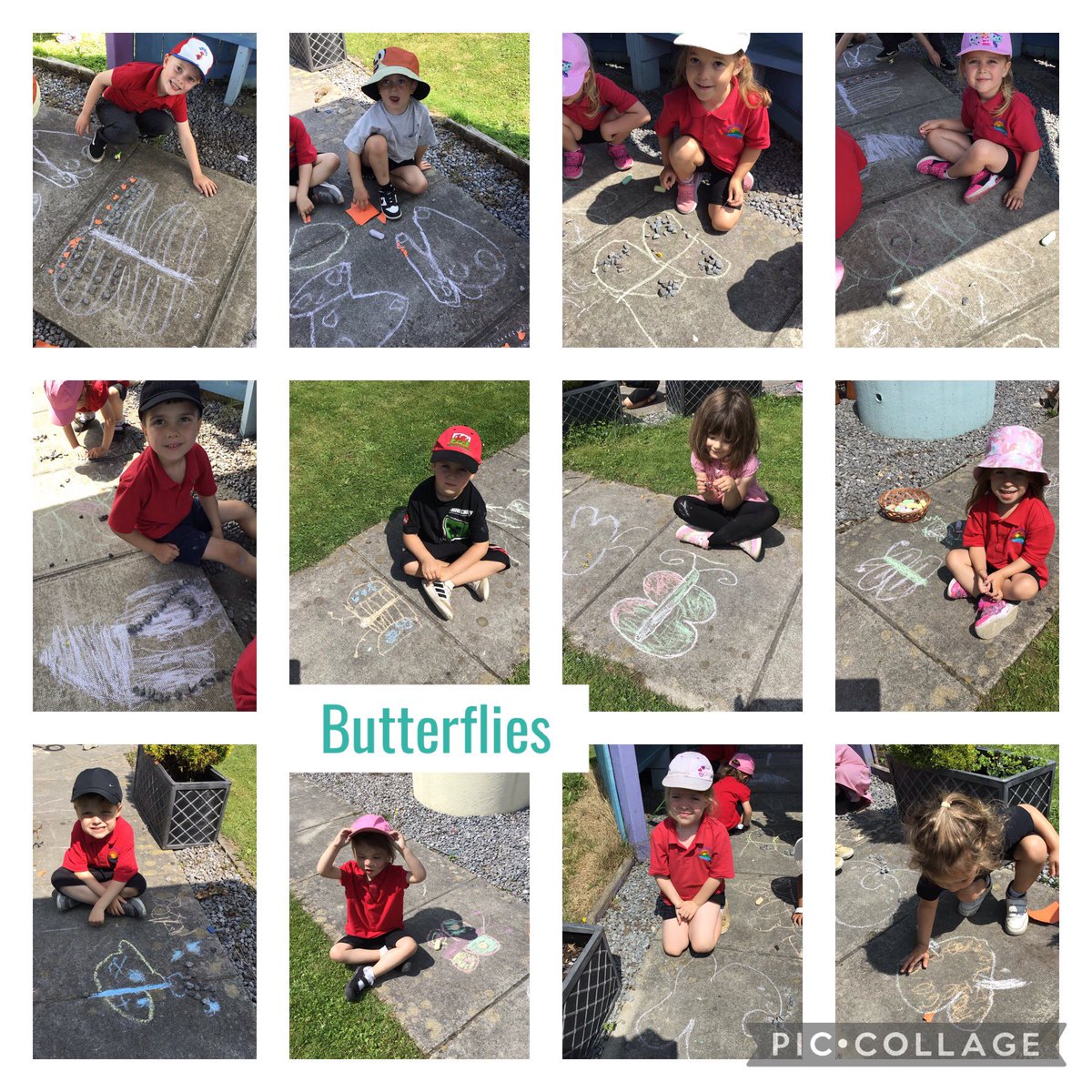 Nursery and Reception children listened to the story The Hungry Caterpillar today, we discussed healthy and unhealthy foods and the children created their own butterflies by using chalk and natural resources. Da iawn! 🌟#llwybraudatblyguparc #gwyddoniaethparc #iechydallesparc