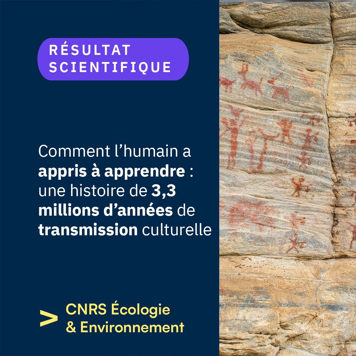 #RésultatScientifique 🔎

Une étude publiée dans Plos One par le laboratoire PACEA retrace 3,3 millions d’années d’évolution de la transmission culturelle, et éclaire l’émergence du langage ainsi que de la culture cumulative.

➡️inee.cnrs.fr/fr/cnrsinfo/co…