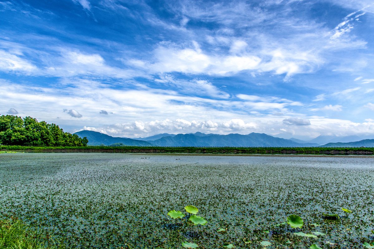 jinamu0803's tweet image. 『長野の夏空』
長野県上田市にあるため池と夏空。
今夜は豚バラと野菜の蒸し鍋とカツオの刺身で🍻
今日も1日お疲れ様。
#ファインダー越しの私の世界 #写真好きな人と繋がりたい #pentax #しあわせ信州