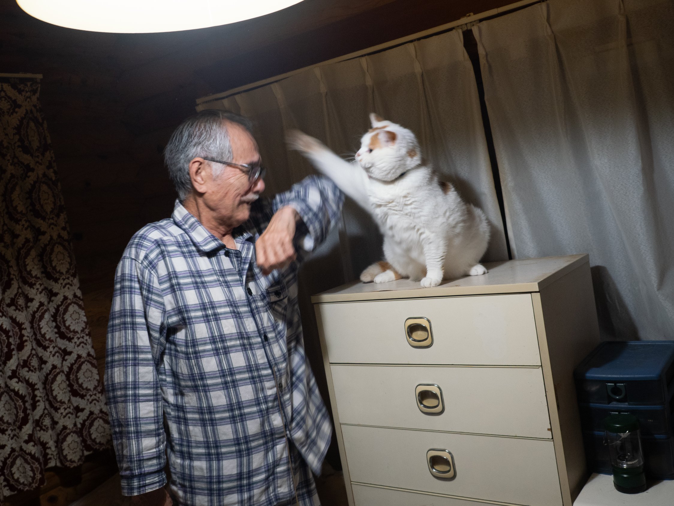 めい様ご連絡用ページです。 巧妙化しているフィッシングメール（PayPay） - プログラミング