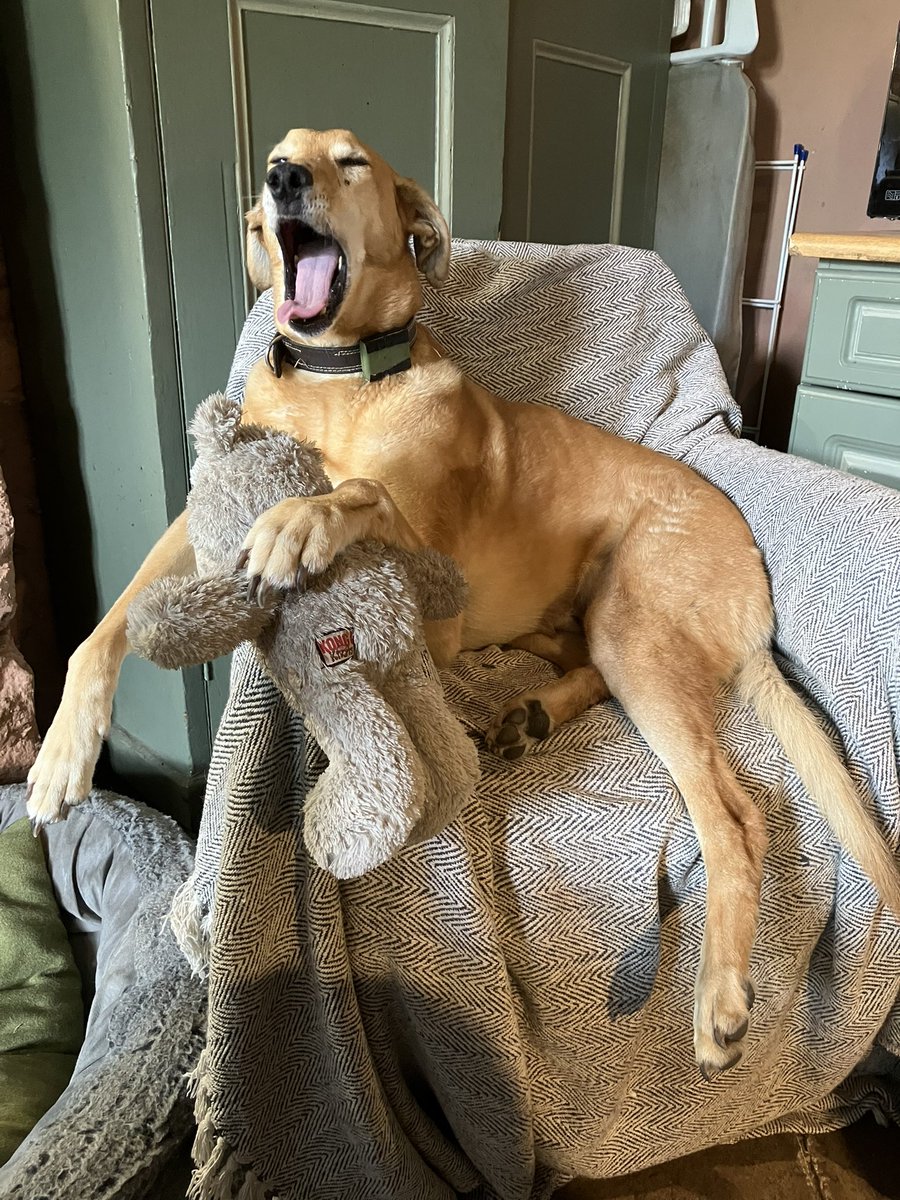 This is how things are looking at Gwydir this morning. The plates are spinning; one’s just smashed!