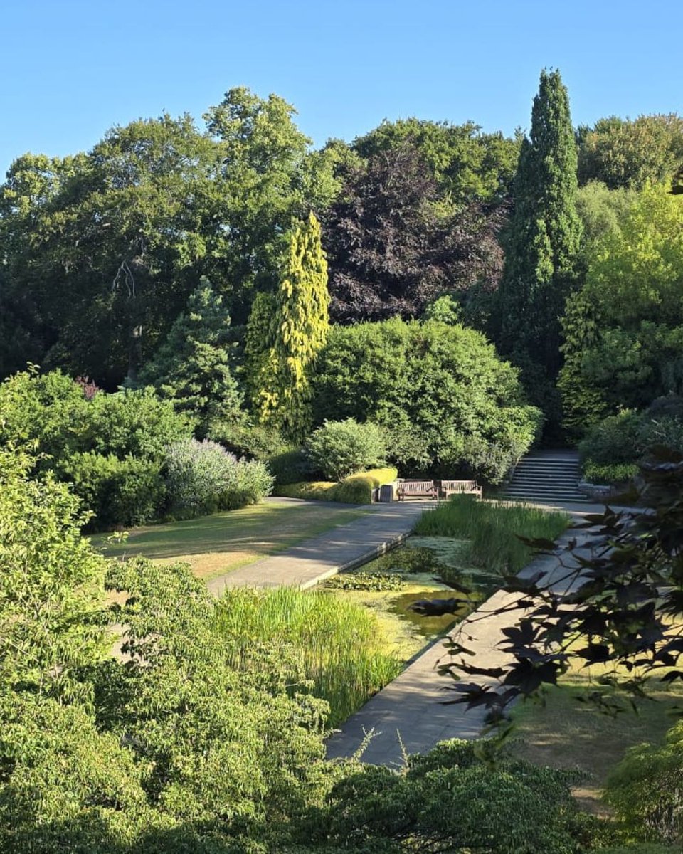 CityCorpHeath's tweet image. The lower section of the Pergola (Kitchen Garden) is open as the masonry works are completed. The ramped access is still closed with essential repairs in progress. The gardens are looking beautiful - well done to the staff and volunteers who work hard to keep them this way 👏