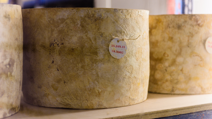 🧀✨ Discover Cheddar – More Than Just Cheese! 🏞️

Ready for an unforgettable day out? Cheddar is bursting with natural beauty, adventure and charm, the perfect spot for families, explorers, and foodies alike!
Click here to find out more about Cheddar- loom.ly/J3yE21k