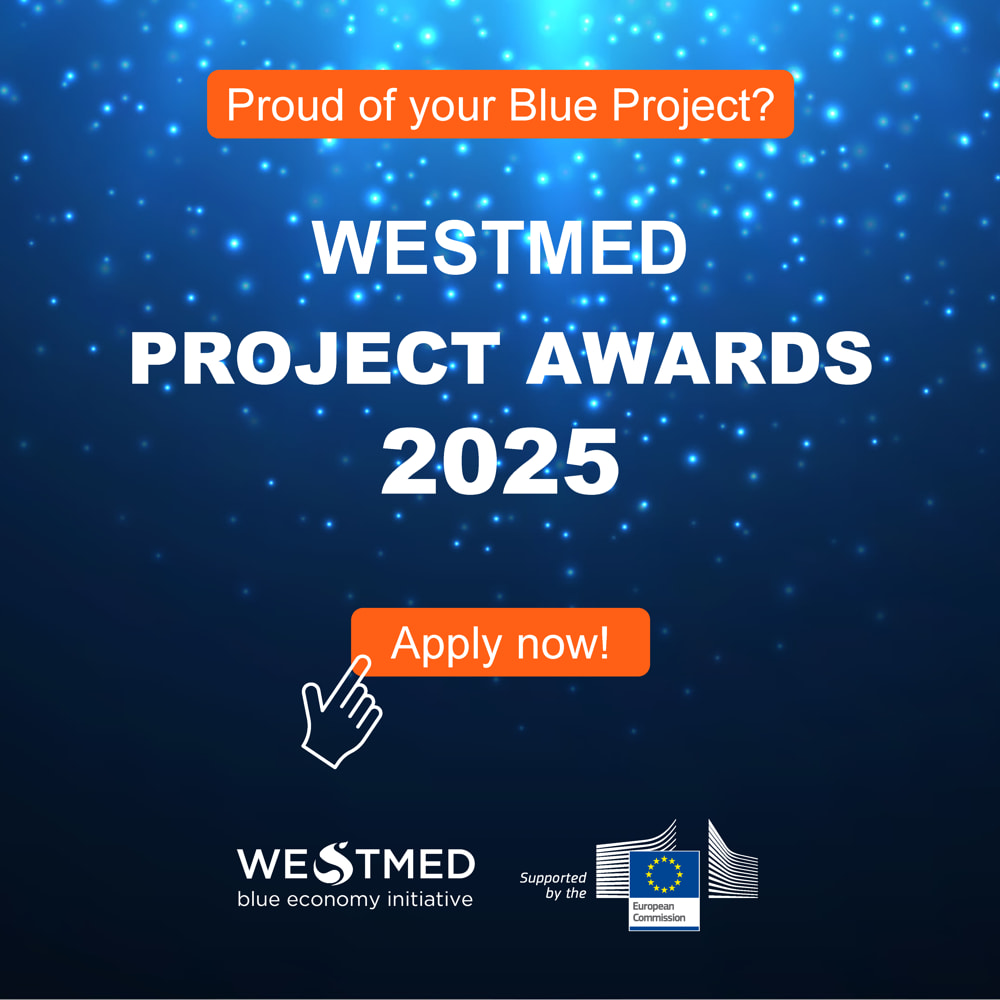 🏆 The #WestMEDProjectAwards 2025 are OPEN!   

Are you driving 🌊Blue Innovation in the Western Mediterranean? Apply now, to showcase your project! Winners will be announced at the #WestMEDConference2025 in Tunis.

🗓️ Submit yours before 30 Sept '25
Info👉shorturl.at/75X02