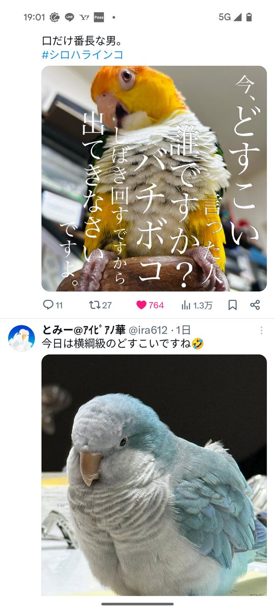 121Feaplay's tweet photo. この並び…おもろすぎる…！ https://t.co/mr9AZEEhdc