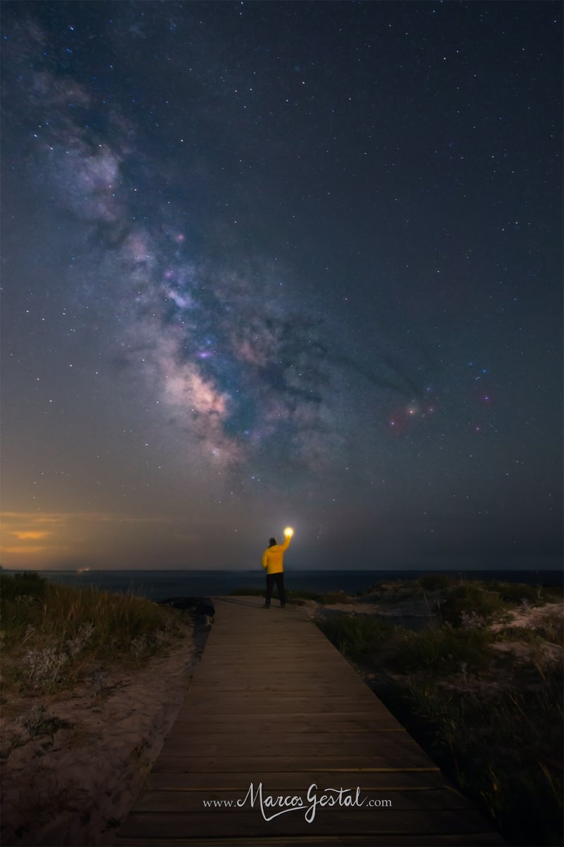 Somos polvo de estrellas que piensa en las estrellas (Carl Sagan)