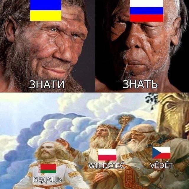 Твой директор tweet media