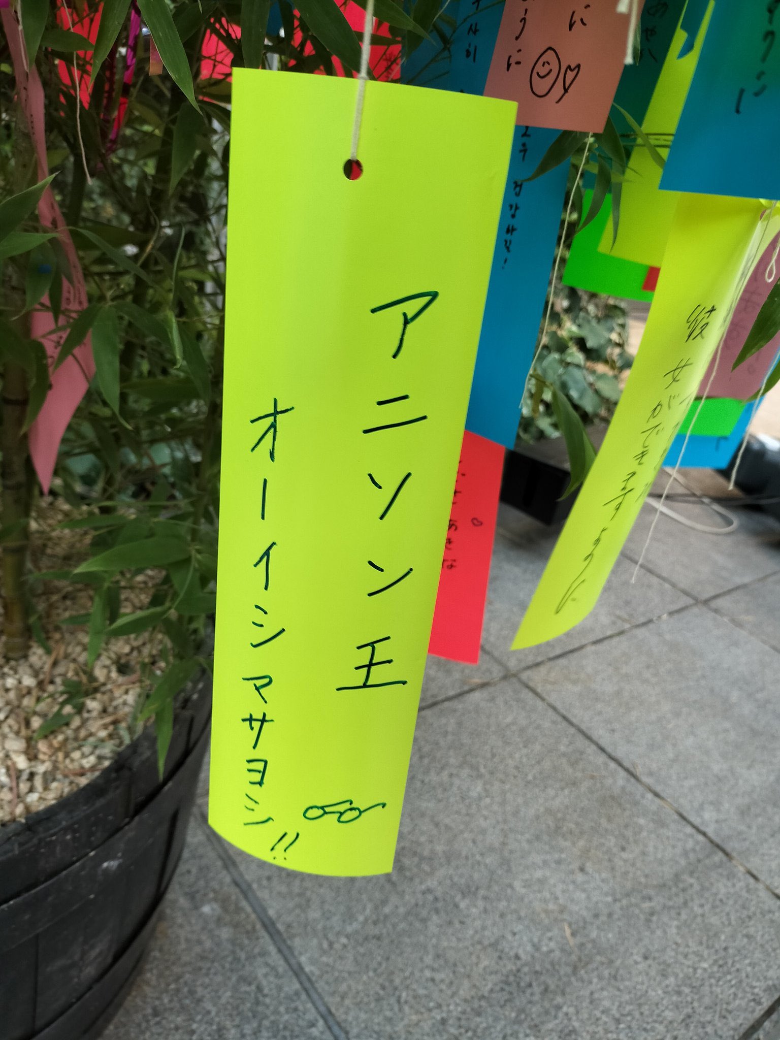 頼りない大自然の使者マーレ マーレ】頼りない大自然の使者 - オバマス検証@wiki - atwiki