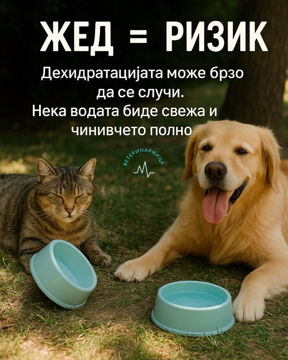 Свежа вода цело време, да не се расправаме 👇

instagram.com/p/DLrmAeEIwHO/…