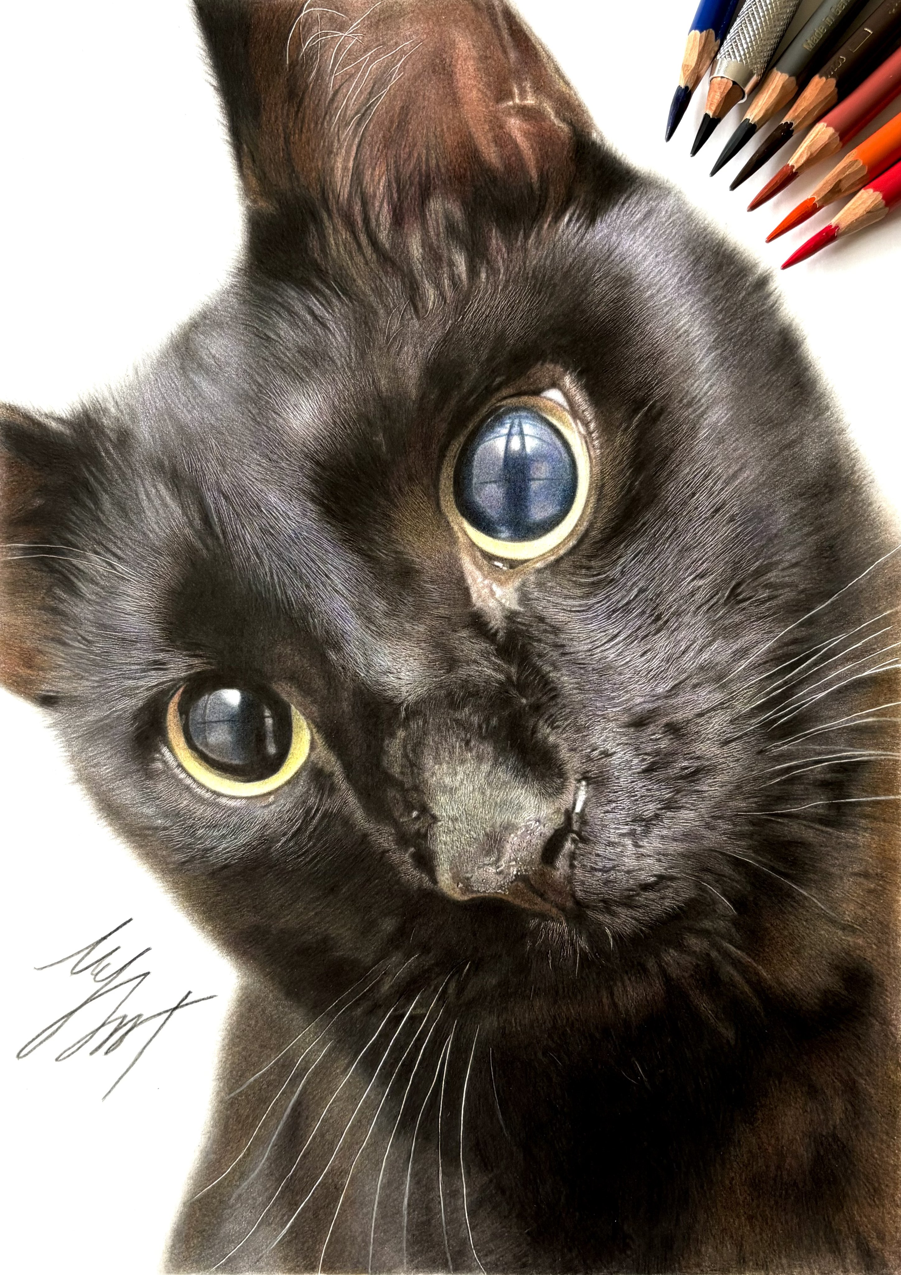 やまくぼ 色鉛筆画 on X: 