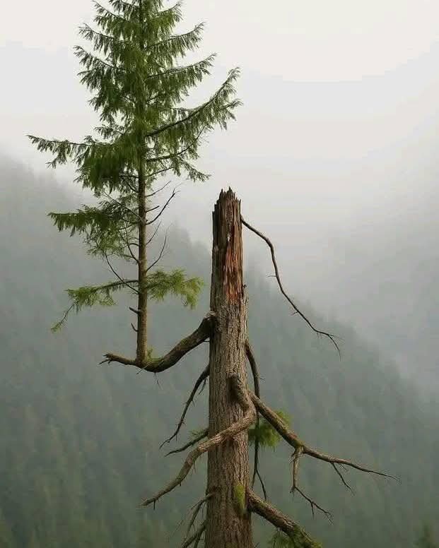 जिसने उड़ान भरने की ठान ली वो फिर जगह नहीं देखता।