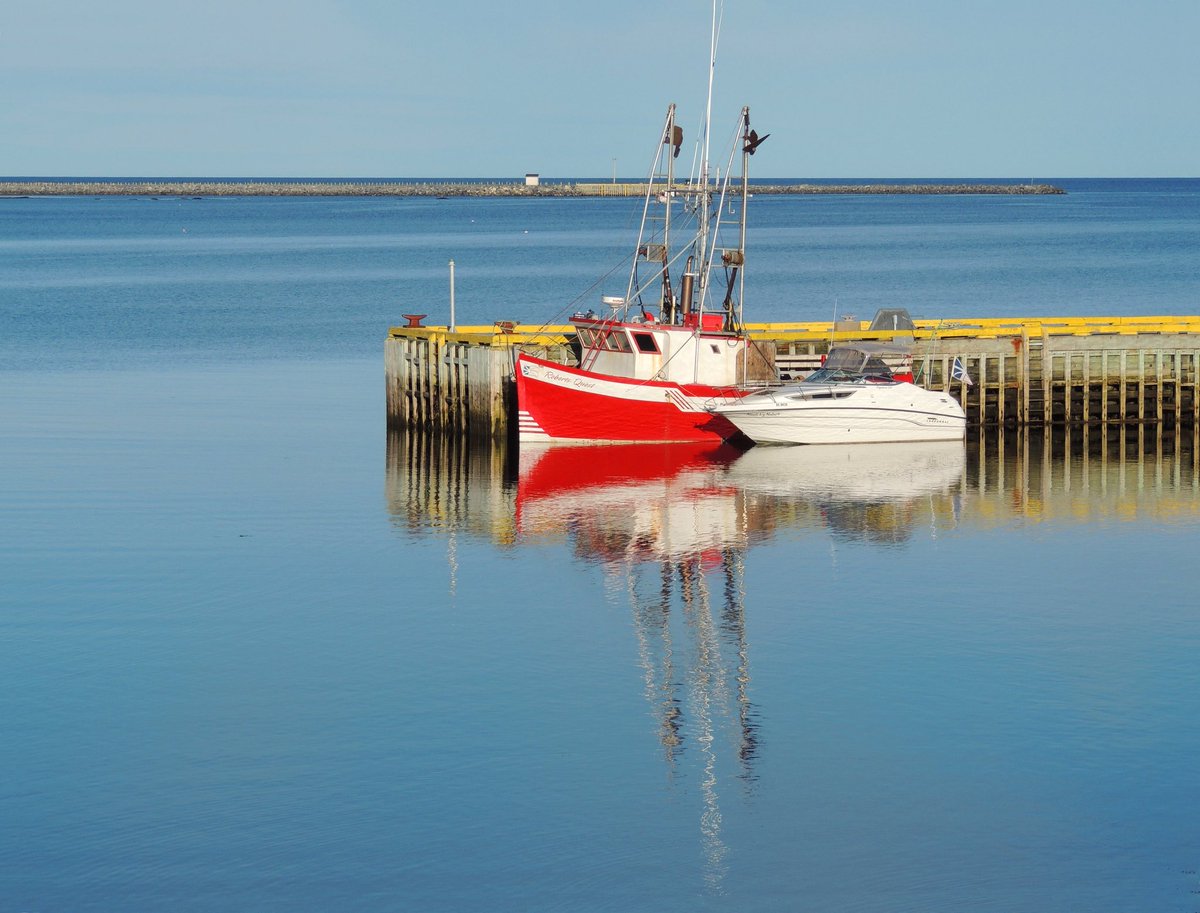 It is a nice sunny morning here without a breath of wind. Yesterday and so far today we finally got some summer weather after a very cool spring and early summer. Until now the temperature refused to go above 12-14 degrees although we saw a lot of sun.