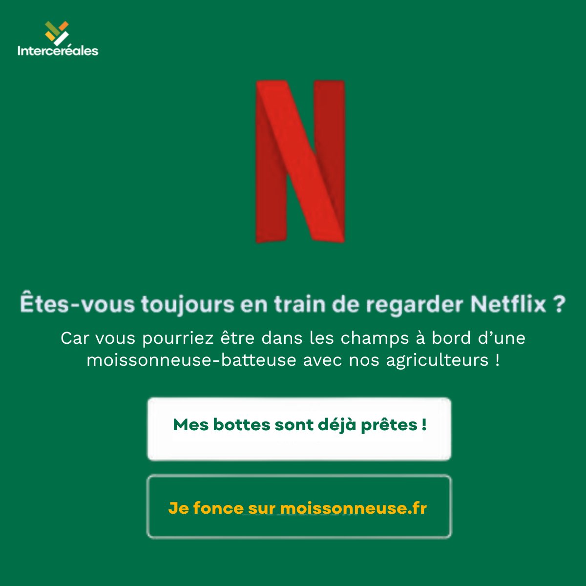 Oubliez Netflix, ce week-end c’est moisson !
Je fonce ➡️ moissonneuse.fr

Pas d’épisode, pas de fiction : Ce week-end, l’aventure se vit dans un champ !

👉 Sur moissonneuse.fr, réservez votre place pour une expérience unique à bord d’une moissonneuse-batteuse aux
