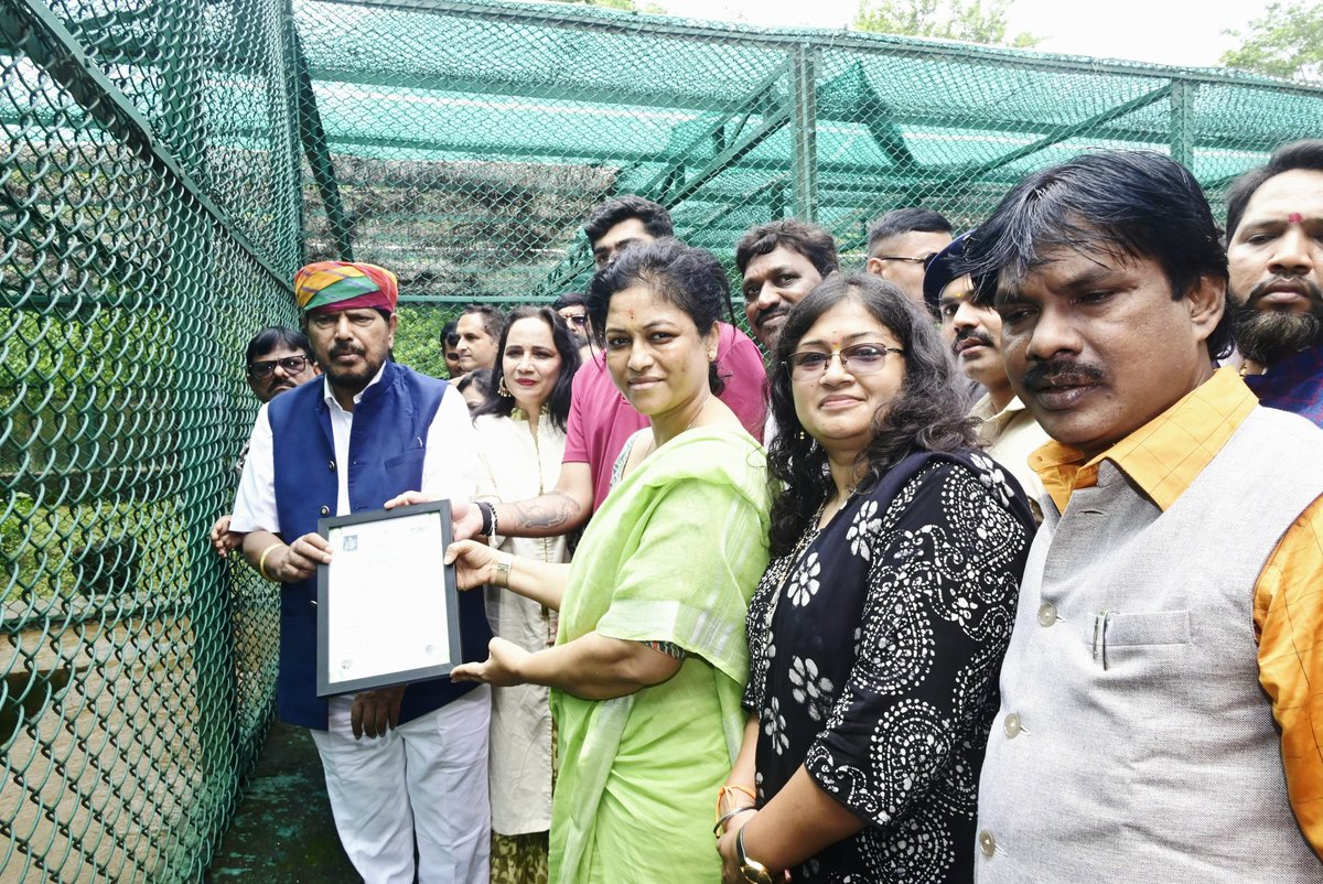 RamdasAthawale's tweet image. I had the honour of attending the 7th birthday celebration of the adopted leopard at Sanjay Gandhi National Park, Mumbai.
Let us strengthen our commitment to wildlife conservation and environmental harmony.
#WildlifeProtection #RamdasAthawale #RPI #SGNP