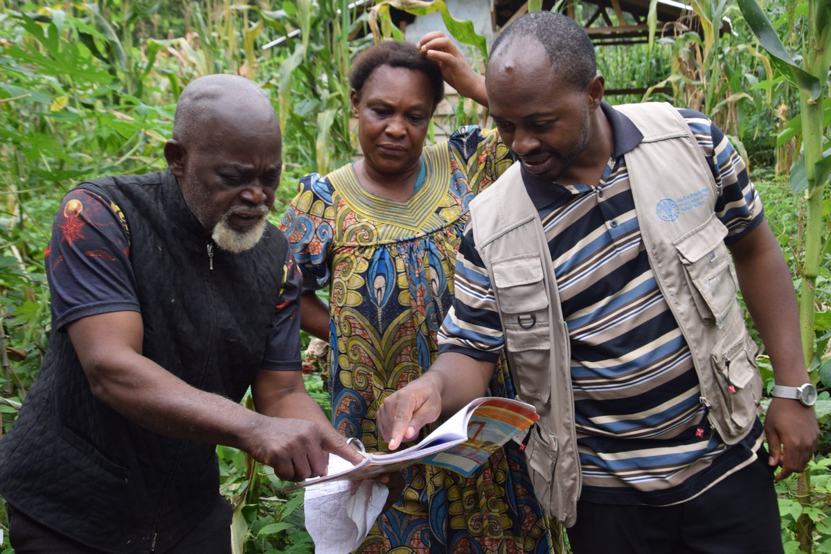 FAOCameroun's tweet image. 🔍Évaluation du Plan cadre de coopération #NationsUnies🇺🇳
🎯Focus sur #PULCCA, réponse à la crise alimentaire dans l’Est🇨🇲
🌱+4 800 bénéficiaires: intrants, formations, couloirs pastoraux, champs fourragers
🤝Un appui essentiel de @Banquemondiale pour plus de résilience agricole.