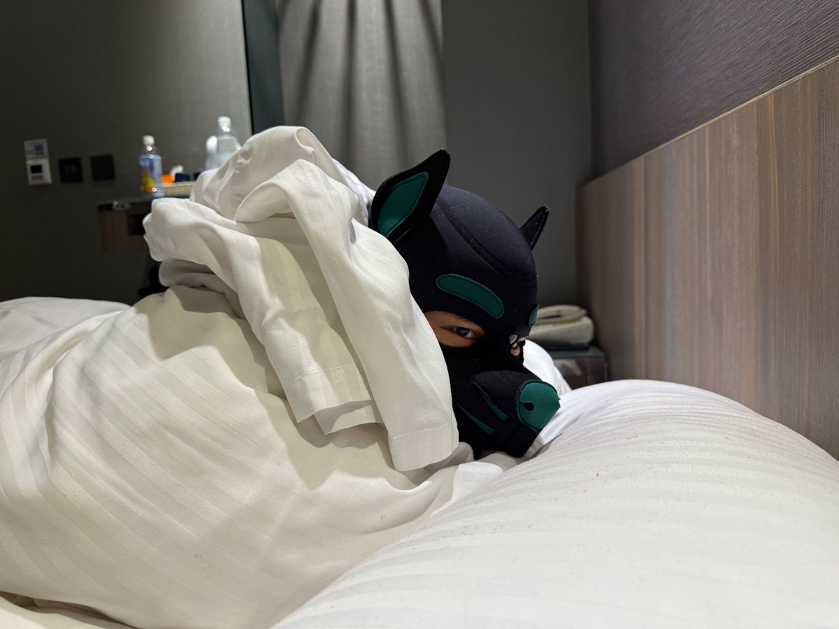 Who's a good boi? 🐶

mannnnn, I miss Taipei. 😫

🪢: <a href="/2_blacksugar/">Sean-特級二砂糖</a> 
🐶: me