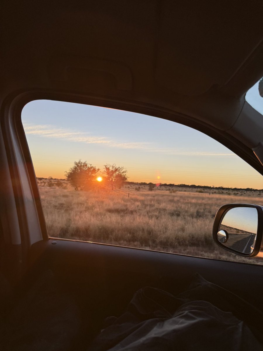 ShaeAmityWalsh's tweet photo. I don’t think I could move back to the city. I love this too much 🥰🦘🌅 https://t.co/37KsBAPV7x