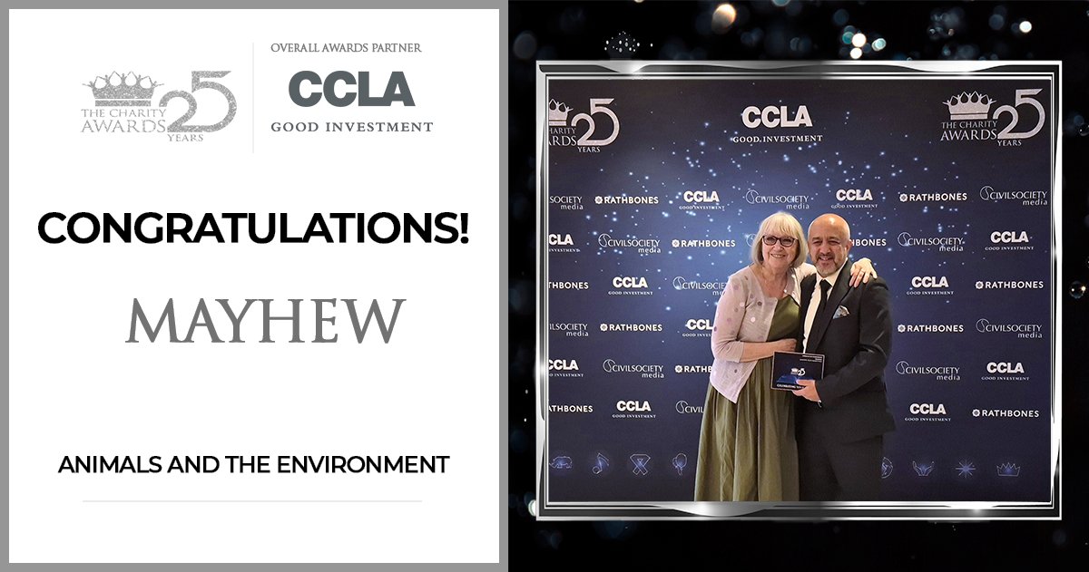 Charity_Awards's tweet image. Congratulations to @themayhew for winning the 'Animals and the Environment' category!
See why it won: charityawards.co.uk/animals-and-th…
#CharityAwards