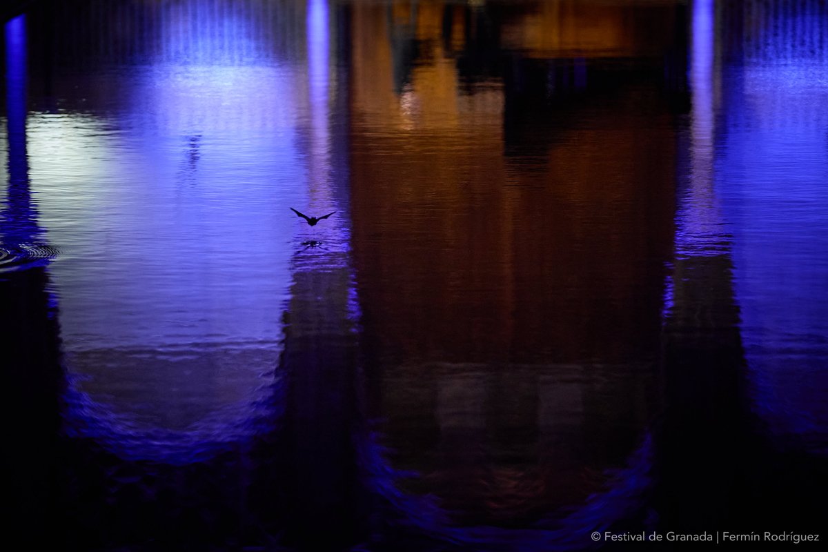 Ferminius's tweet image. Confirmado: el @FestivalGranada ofrece unos espectáculos increíbles...

¡Estas a tiempo! - granadafestival.janto.es