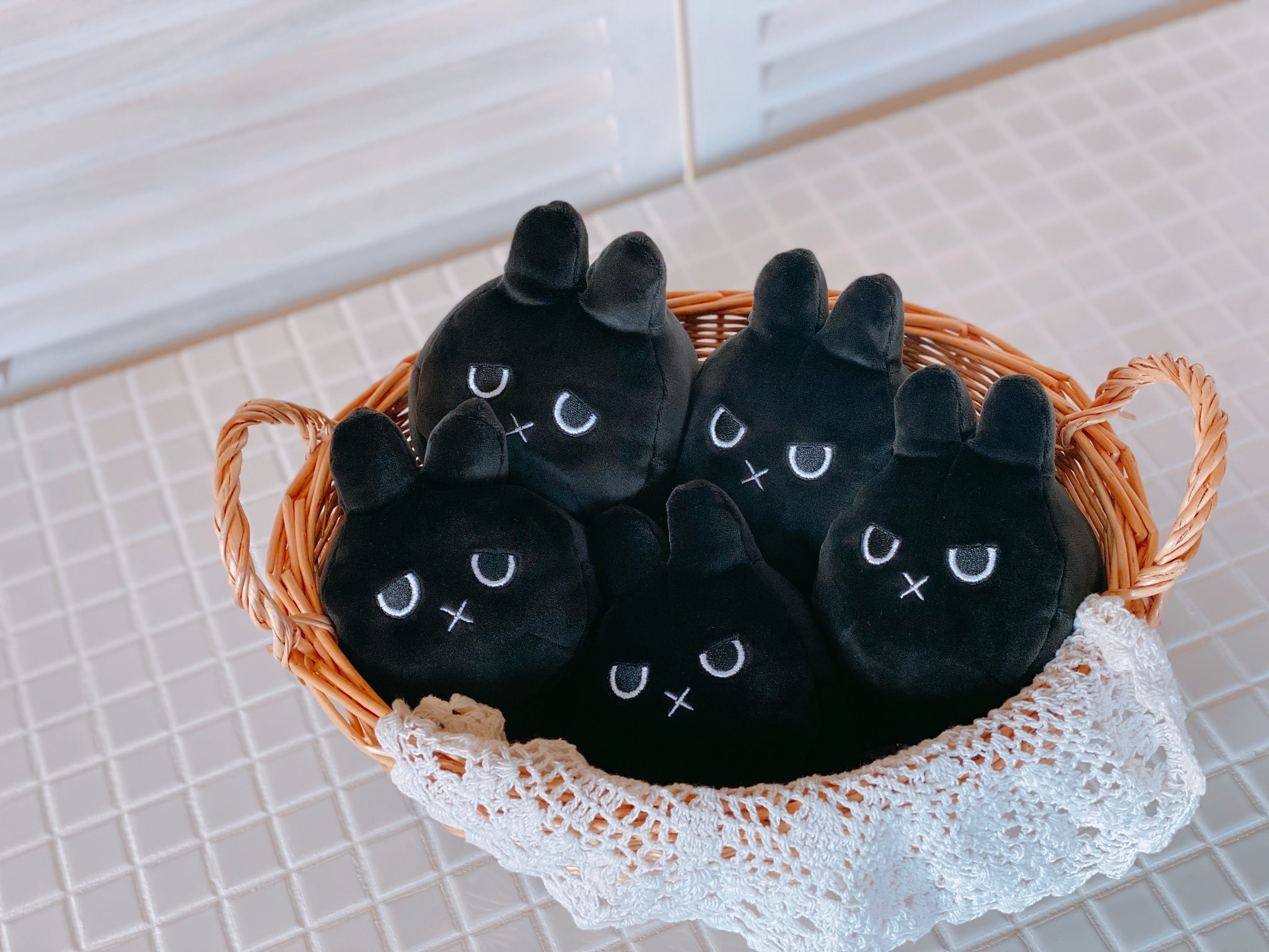 うさこ  グンソー on X: 