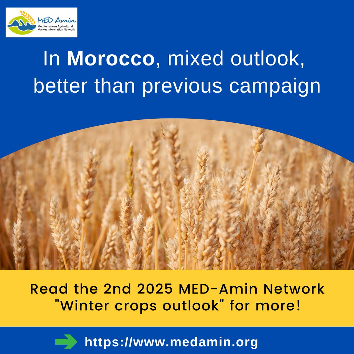 CIHEAMIAMM's tweet image. 3rd #MEDAmin bulletin on 2025 harvest forecasting in the #Mediterranean region:
🔍 More details and national highlights on the current winter crop (wheat, barley) development:
med-amin.org/fr/ressources/… 
#CIHEAM #maroc #morocco