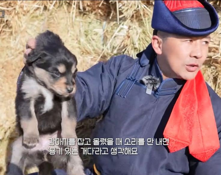 용기 있는 개 구별법