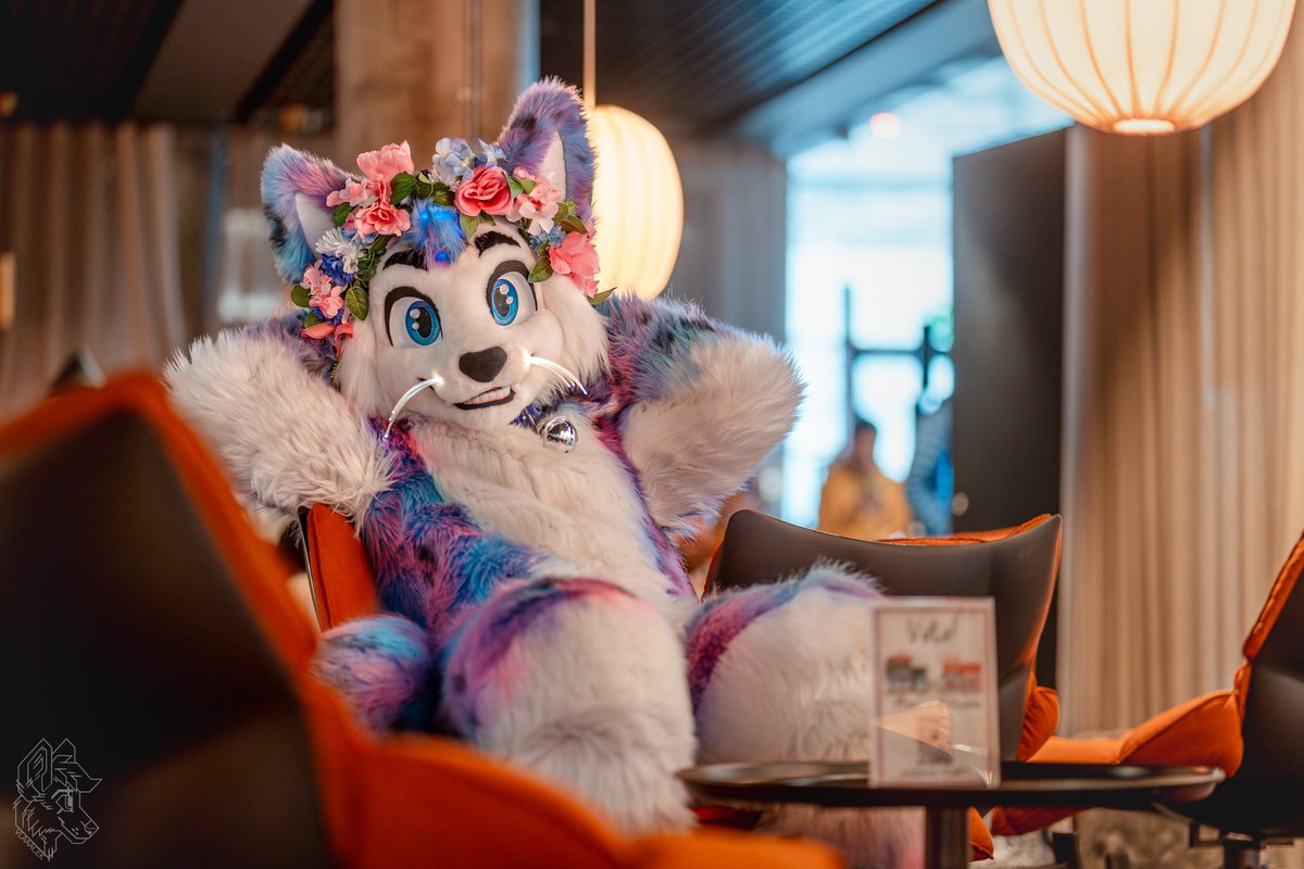 ✨🥰POV: You're on a date with a Cat and it's going very, very well! 🥰✨
Happy #FursuitFriday from #Anthrocon! 

📸 - <a href="/vlaaacek/">VlaceK</a>