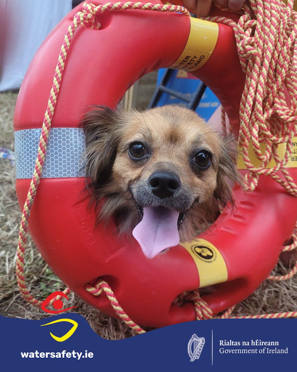 🌟 We had a fantastic time at the Charleville Show this weekend! 🌟

Our focus was on lifesaving skills like using a ringbuoy and performing Basic Life Support (BLS), keeping it fun, hands-on, and educational for all ages. 💪🌊

👑 Big thanks to the Cork Rose for jumping in to