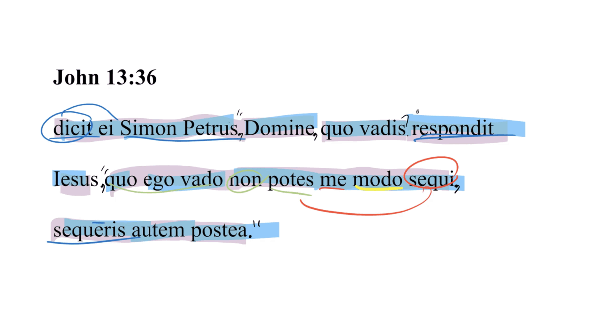Today's Latin Vulgate Video: John 13:36 Latin Vulgate ow.ly/4ryQ106eLpv