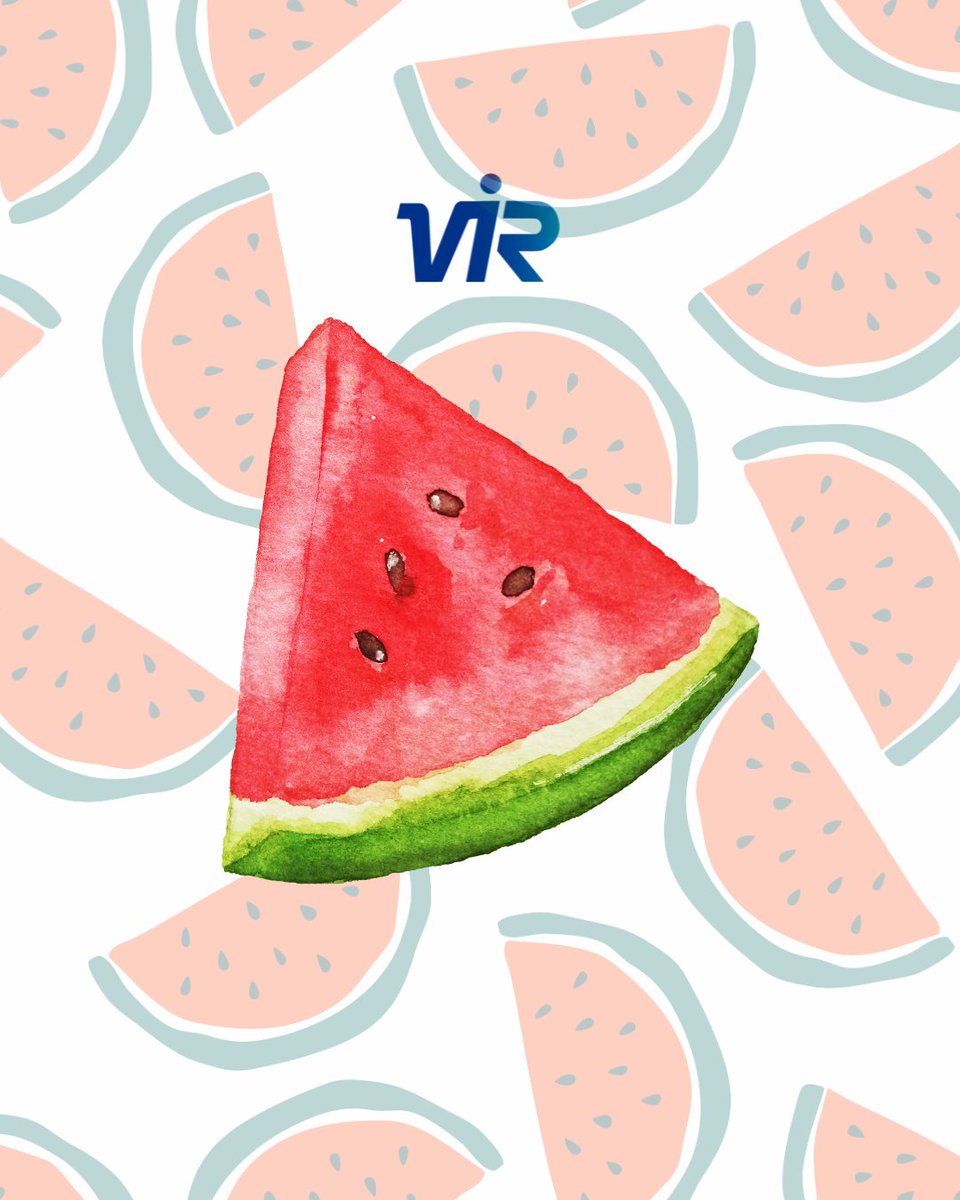 🍉 La sandía es una de las frutas estrella del verano: refrescante, rica en agua, vitaminas y minerales 💧☀️
Perfecta para mantenernos hidratados y disfrutar de un snack saludable en los días de más calor. ¿Ya la has incluido en tus meriendas veraniegas? 😋🥄

#LaboratoriosVIR