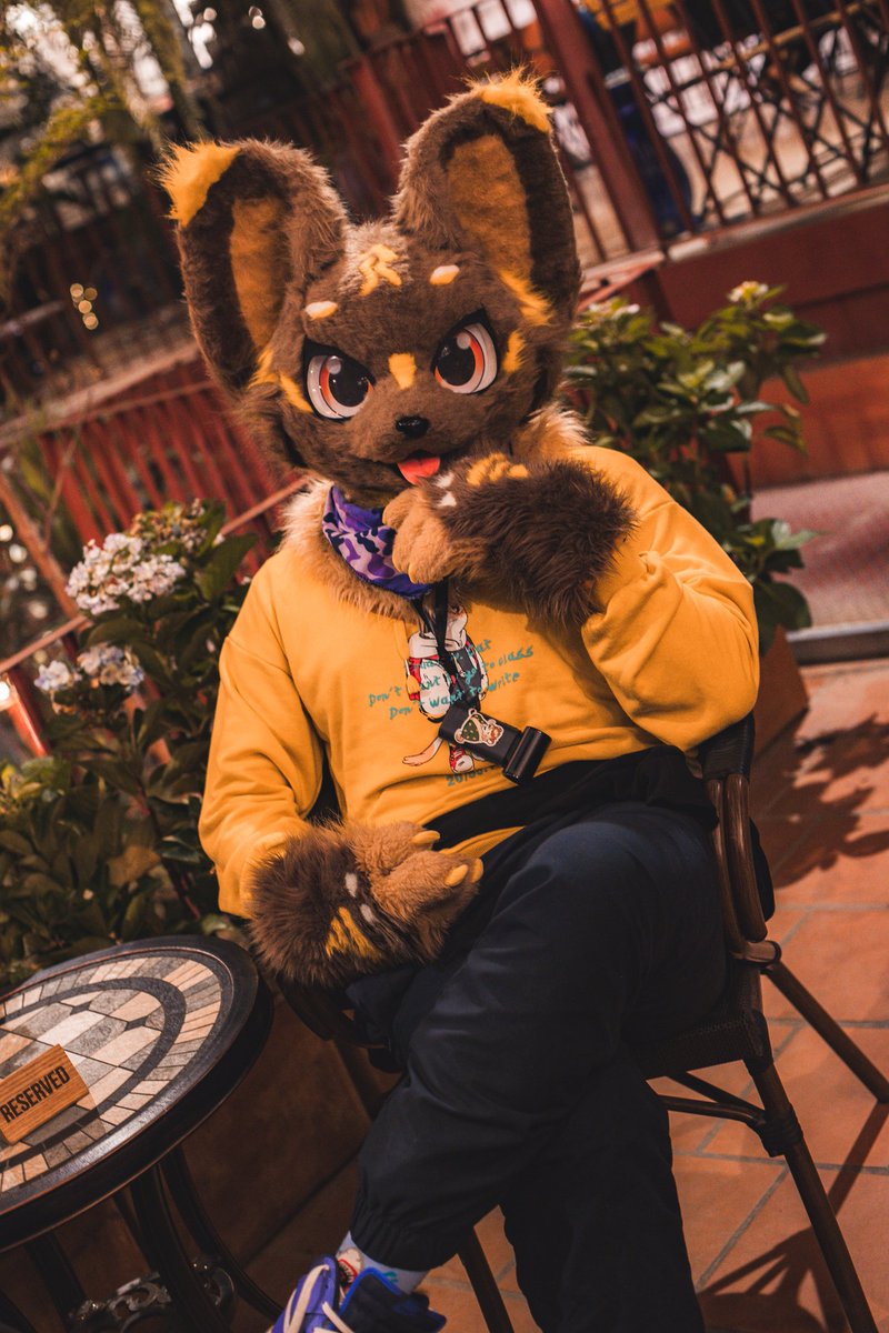 Just trying to serve maximum cuteness ✨

📸 : <a href="/AulderWhitefur/">Aulder 🐾 🔜 Infurnity</a> 
#Fursuit #FursuitFriday