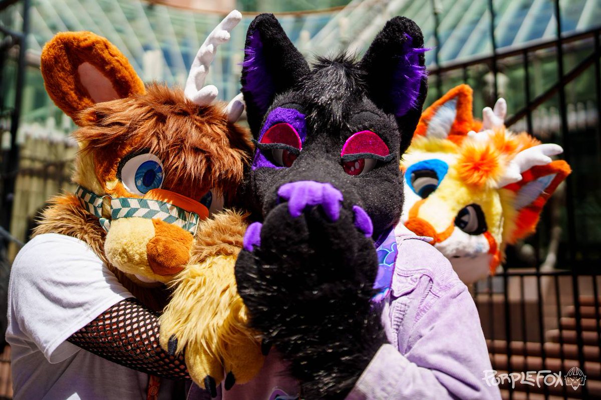 Ky ๐ฆ๐ (@deerwuff) on Twitter photo Casually unapologetically photobombing this photo of <a href="/Ty_Wuff/">Tyler Wolfdog</a> & <a href="/Naicoleptic/">Nai ๐ CFZ#827</a> this #FursuitFriday ๐คญ
๐ธ <a href="/PurpleFoxCosmo/">Cosmo</a> Casually unapologetically photobombing this photo of <a href="/Ty_Wuff/">Tyler Wolfdog</a> & <a href="/Naicoleptic/">Nai ๐ CFZ#827</a> this #FursuitFriday ๐คญ
๐ธ <a href="/PurpleFoxCosmo/">Cosmo</a>