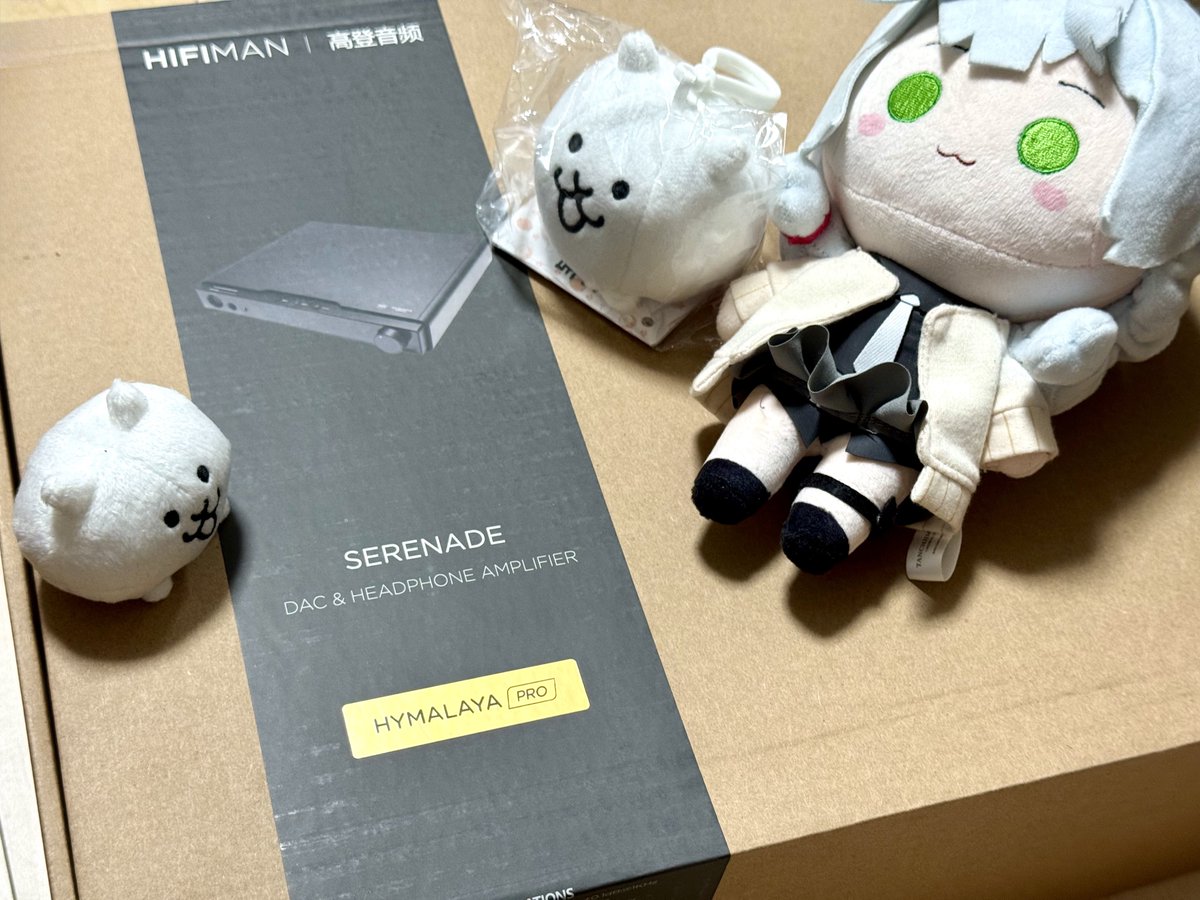 Serenade 到着開封