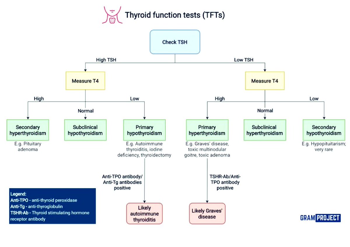 Thyroid Function Test (TFT).