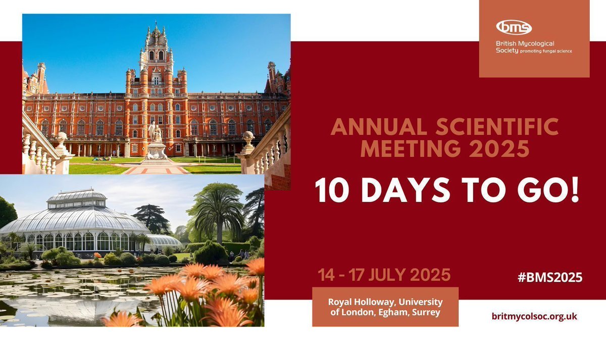 BritMycolSoc's tweet image. Only 10 days to go! We can’t wait to see everyone at our Annual Scientific Meeting #BMS2025 and hear the latest in fungal biology research. Take a look at the programme: britmycolsoc.org.uk/asm.html