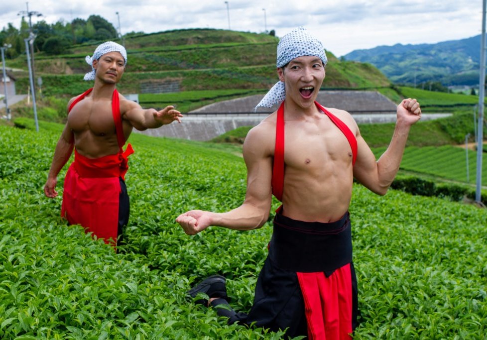 muscleplus_free's tweet photo. 茶畑でマッチョをつかまえて https://t.co/U6XCOJnchl