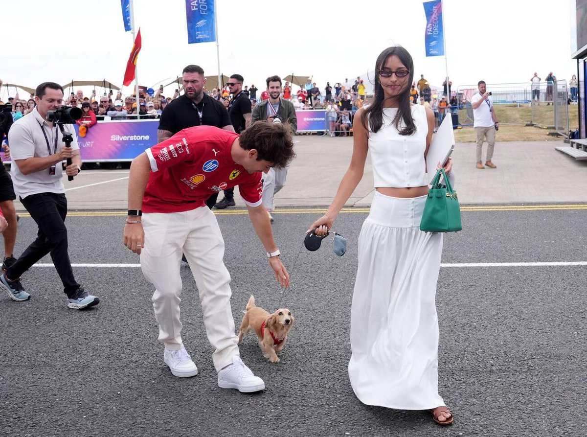 paddock royalty