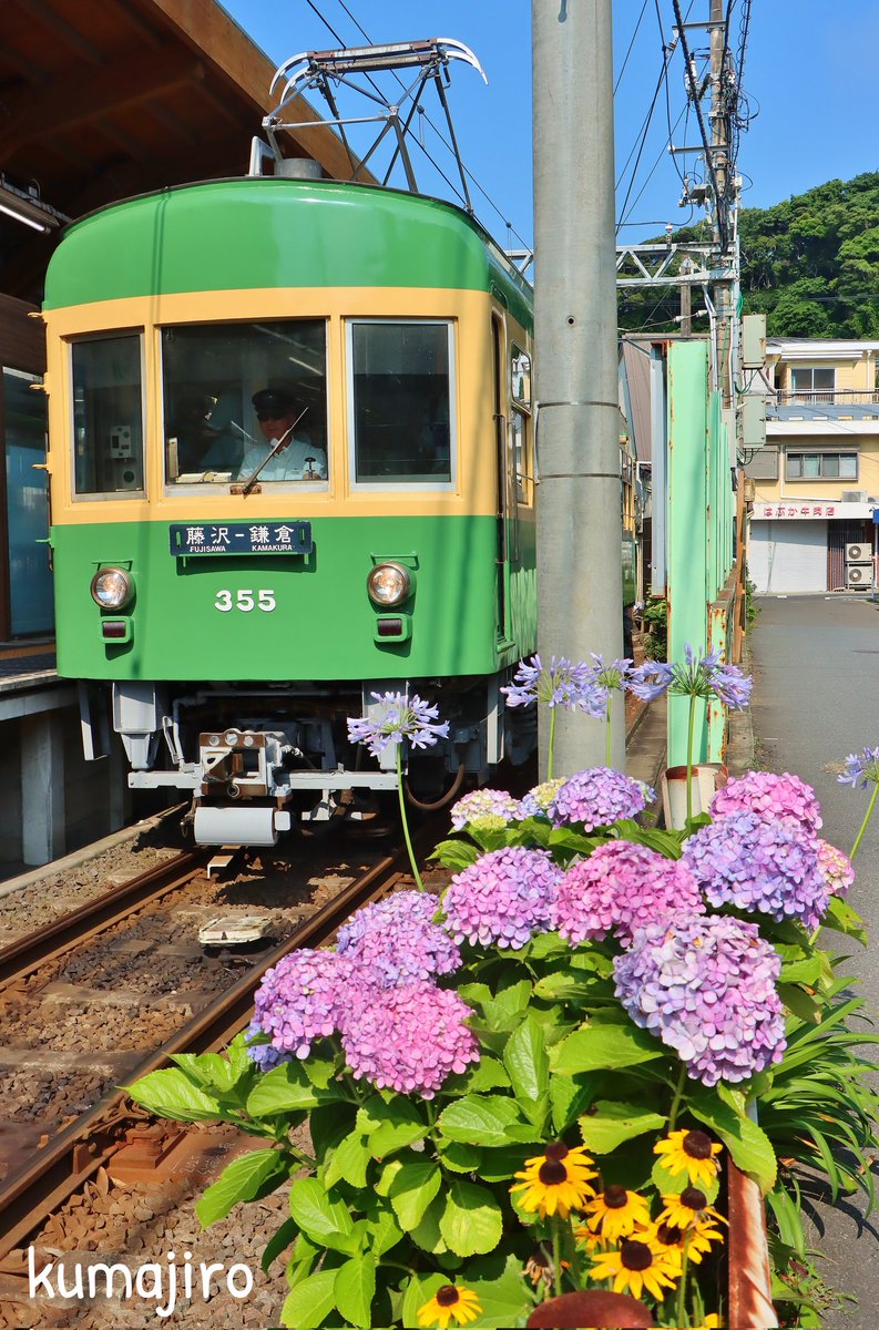 こんばんは。お疲れさまです

今夜は稲村ヶ崎を行く300形を
線路脇に咲いた紫陽花とアガパンサスを添えて

全般検査を終えて300形が久しぶりに復帰しました🚃🚃

明日も明るく元気に頑張りましょう🍀

#江ノ電 #えのさんぽ
