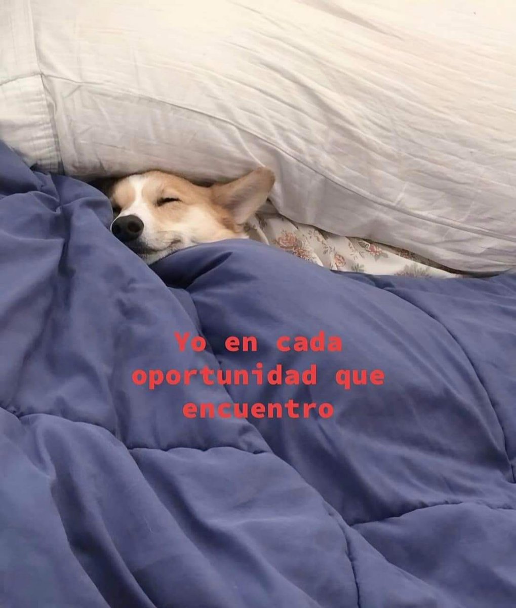 sad (@isadtuit) on Twitter photo 