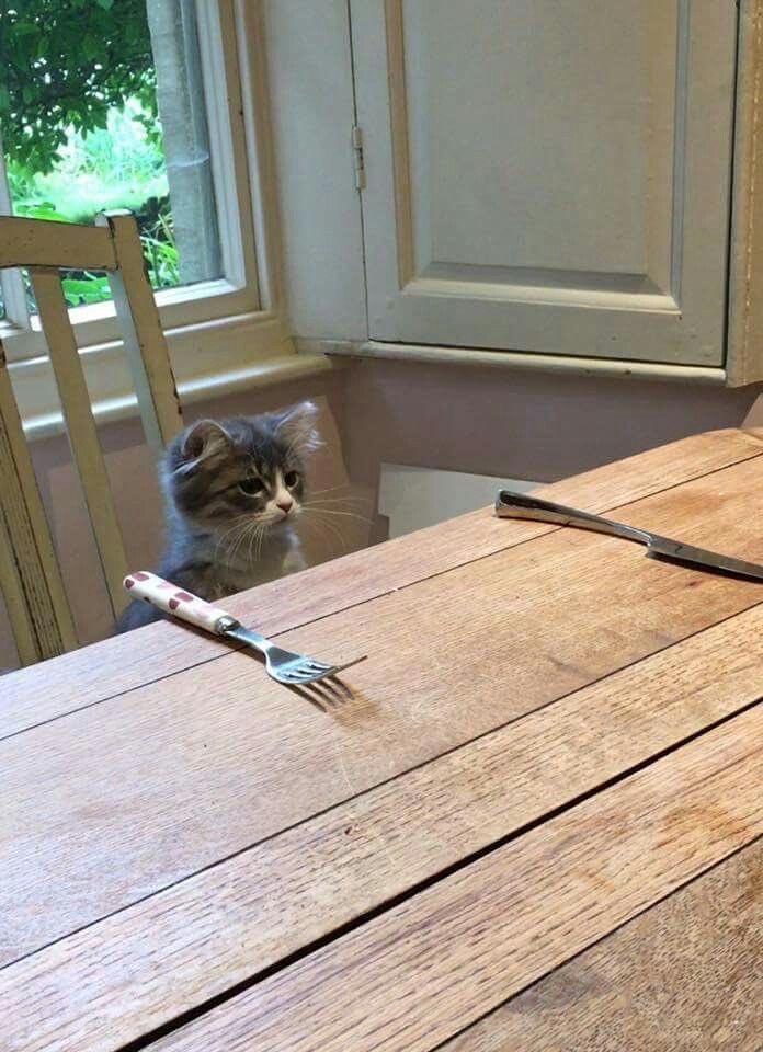 When your Mum calls you down for tea but the plates aren't even out yet.