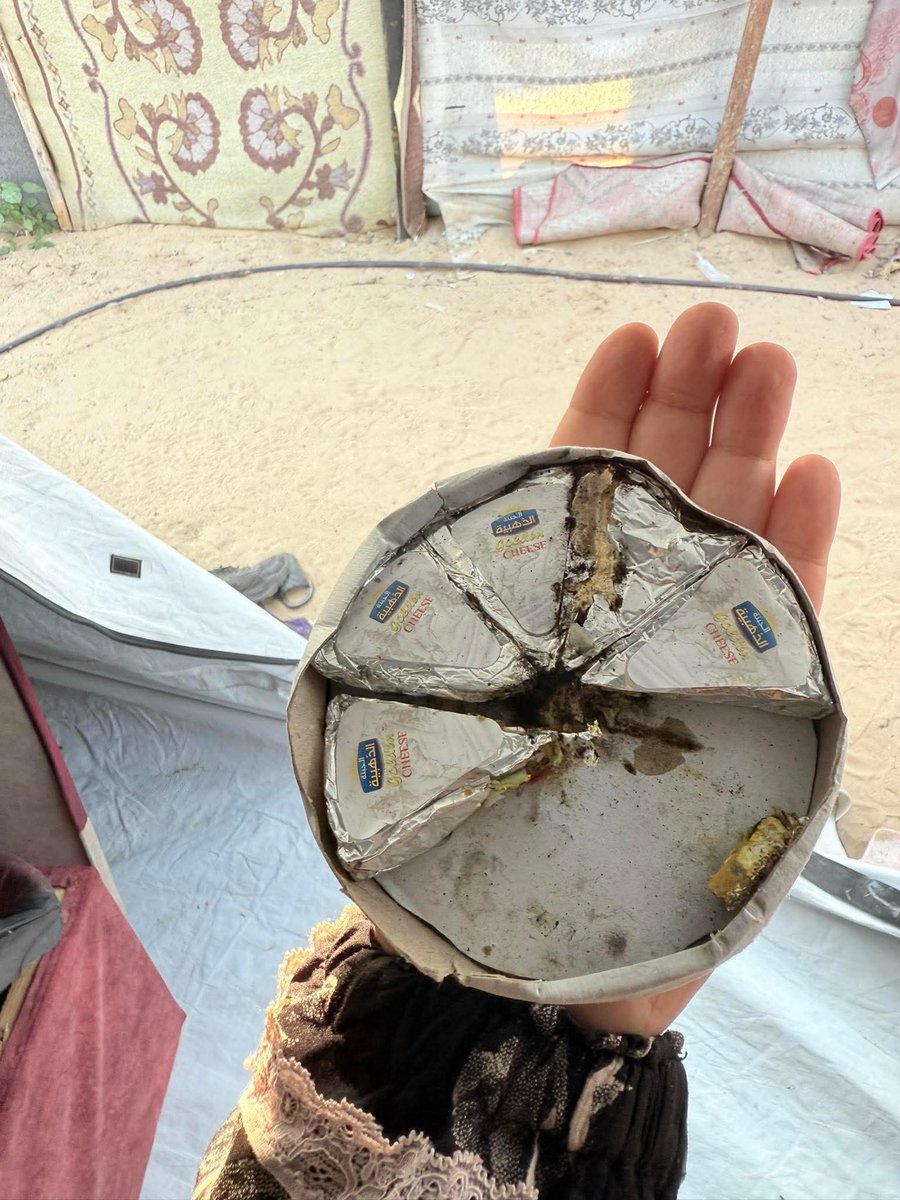 If you respond with 3 replys, you will help me a lot to make my post visible to everyone, even if a dot.

gofund.me/5ff4377f