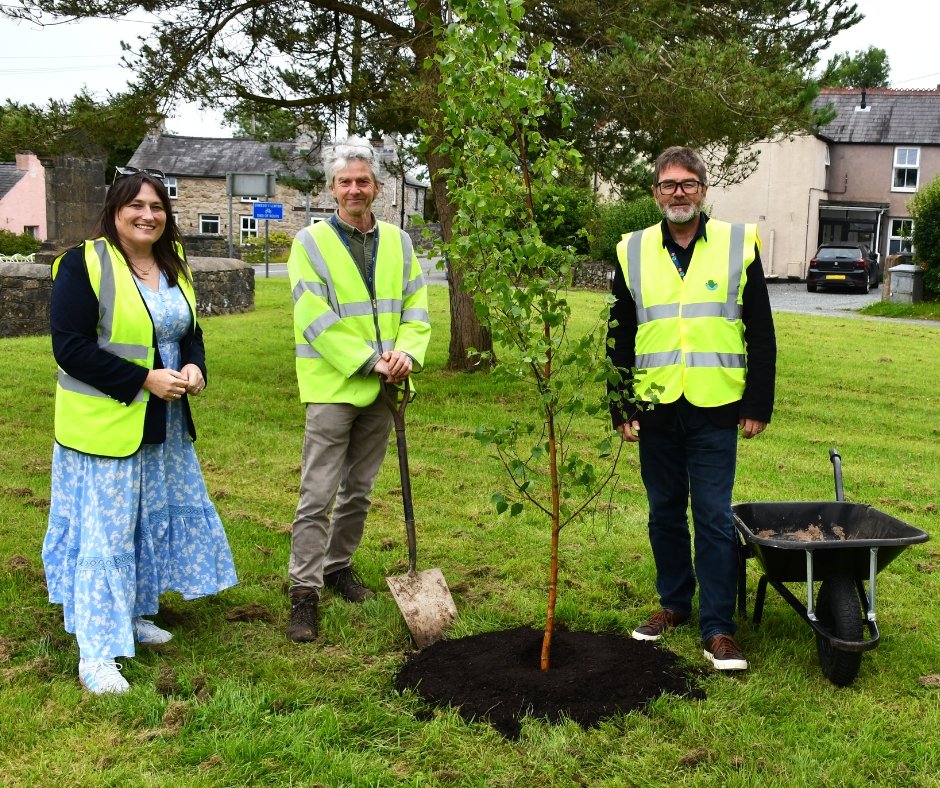 During 2024/25, we’re planting 1,000+ trees across our sites to help restore &amp; enhance green spaces.

Recently, Council Leader Gary Pritchard &amp; Cllr Nicola Roberts planted a birch tree in an area previously hit by ash dieback.

Programme supported by Shared Prosperity Funding.