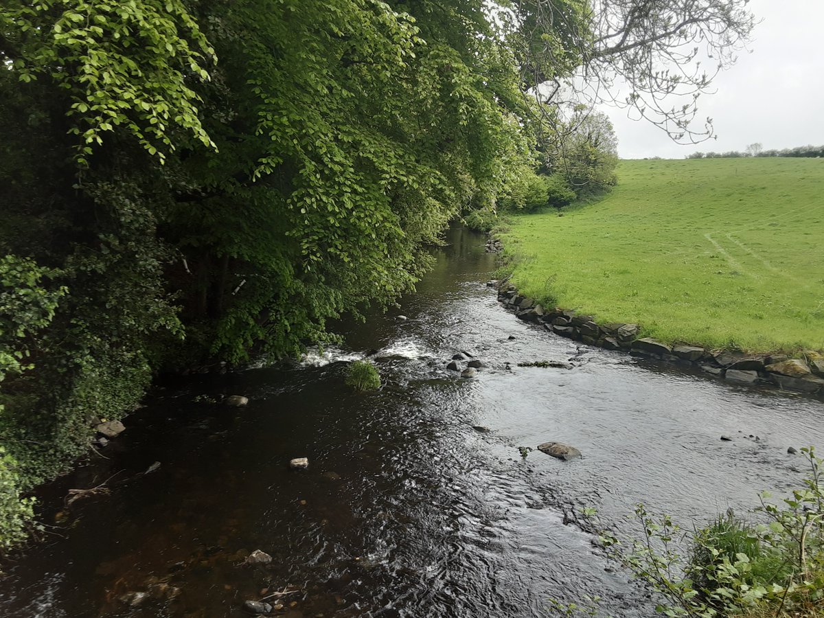 A public consultation on the timetable and work programme for the Fourth Cycle River Basin Management Plan (RBMP) was launched today. More info: daera-ni.gov.uk/news/public-co…